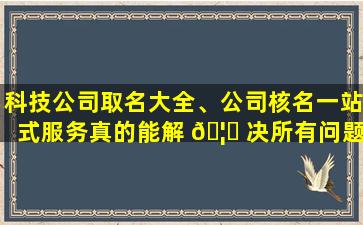 科技公司取名大全、公司核名一站式服务真的能解 🦆 决所有问题吗